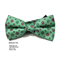 Andrew's Ties Printed Silk Bow Tie