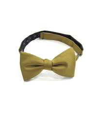 OroBow Gold with gold and white Square