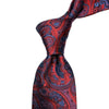 MonsterTie Navy Red Big Paisley